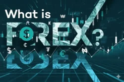 آموزش جامع بازار فارکس؛ بزرگترین اقیانوس مالی جهان برای کسب درآمد ارزی